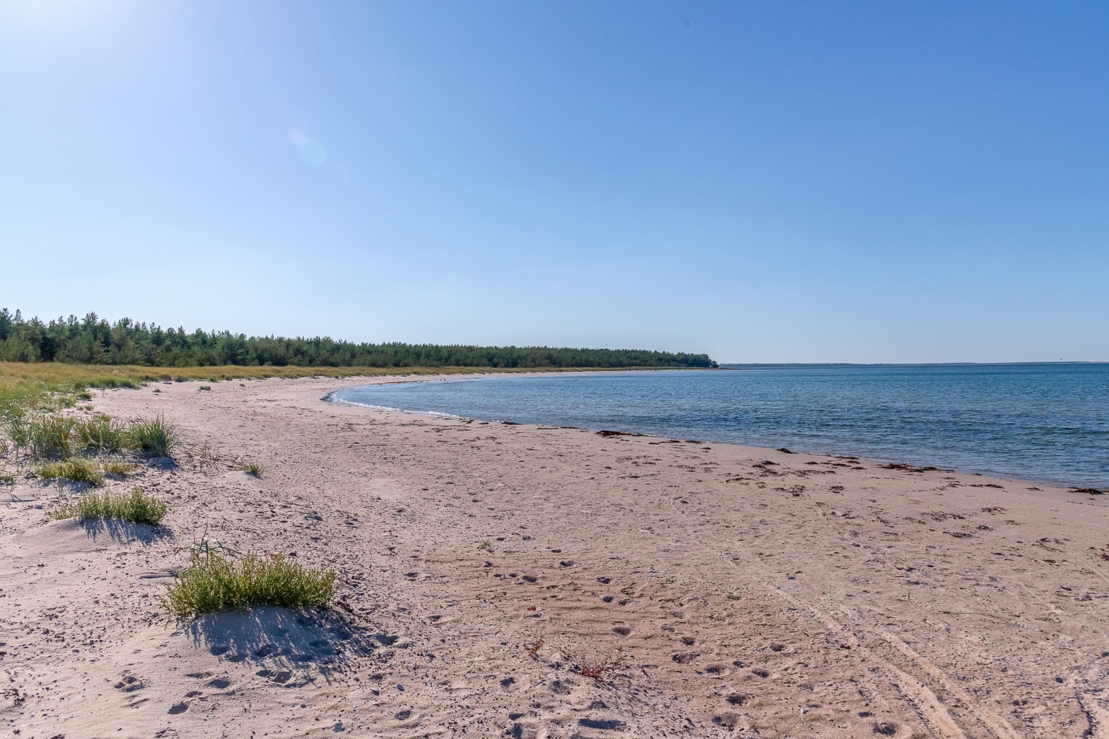 Skärsviken på gångavstånd Fårö Skär 1389b