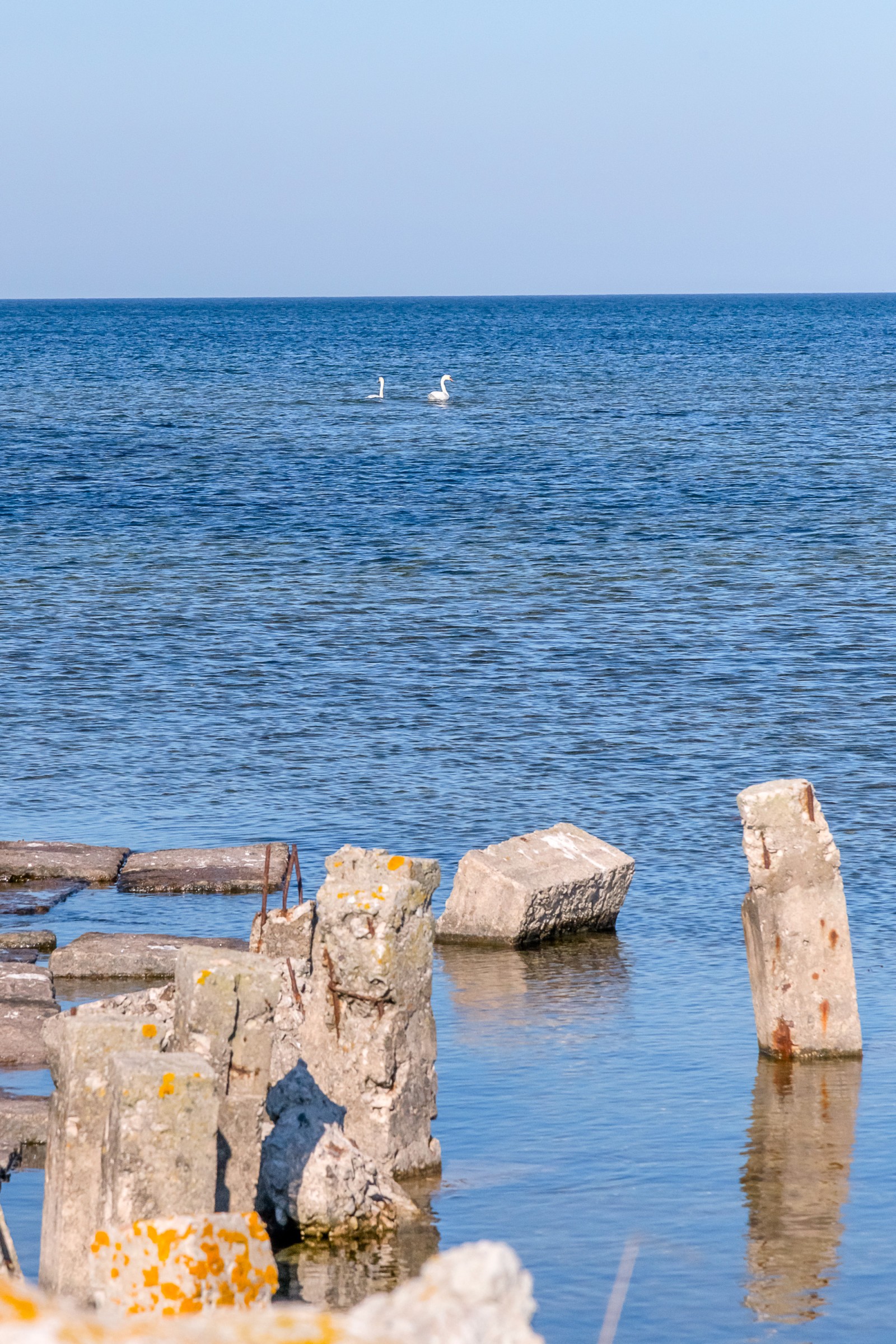  Fårö Skär 1389b