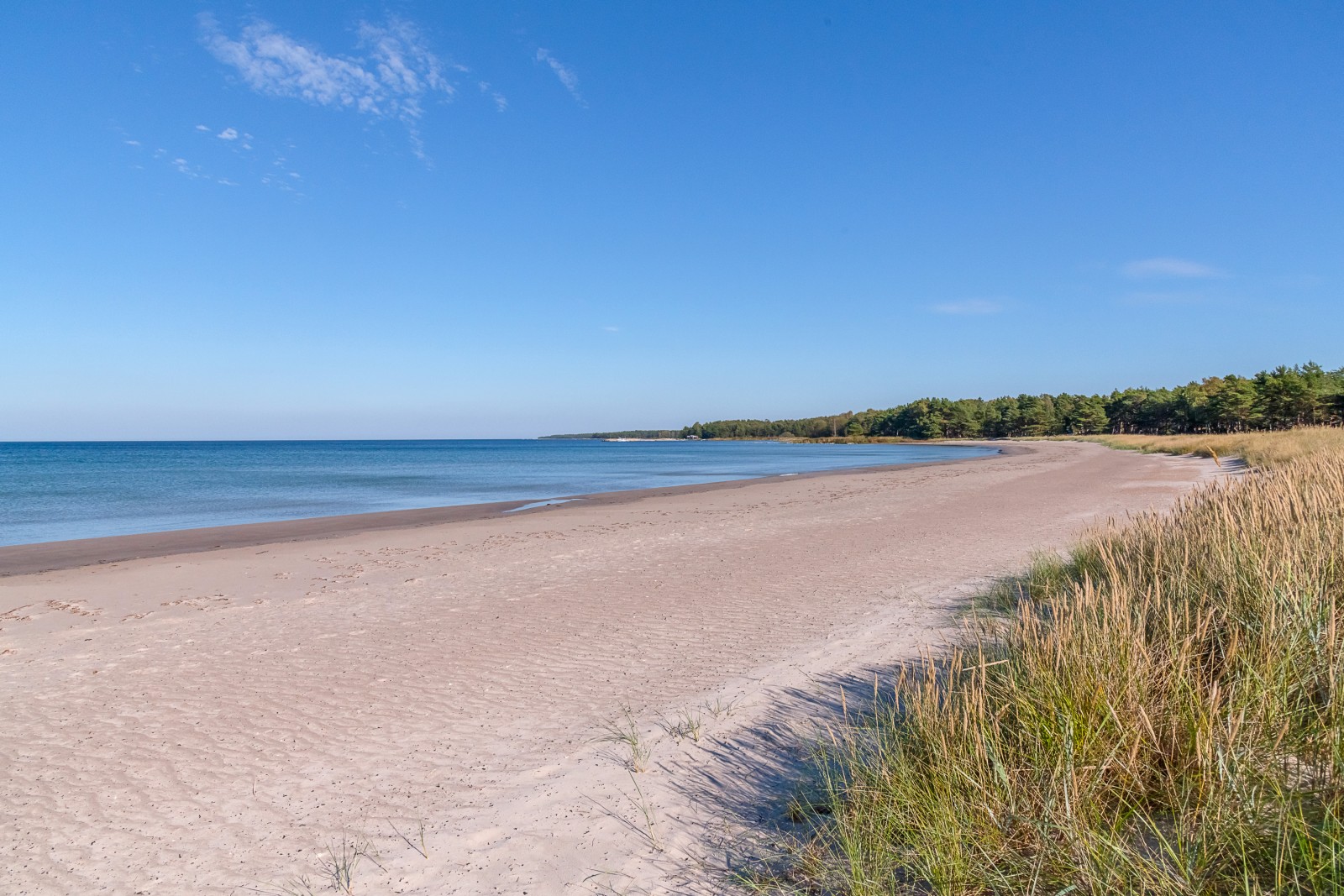 Ekeviken några km bort Fårö Skär 1389b