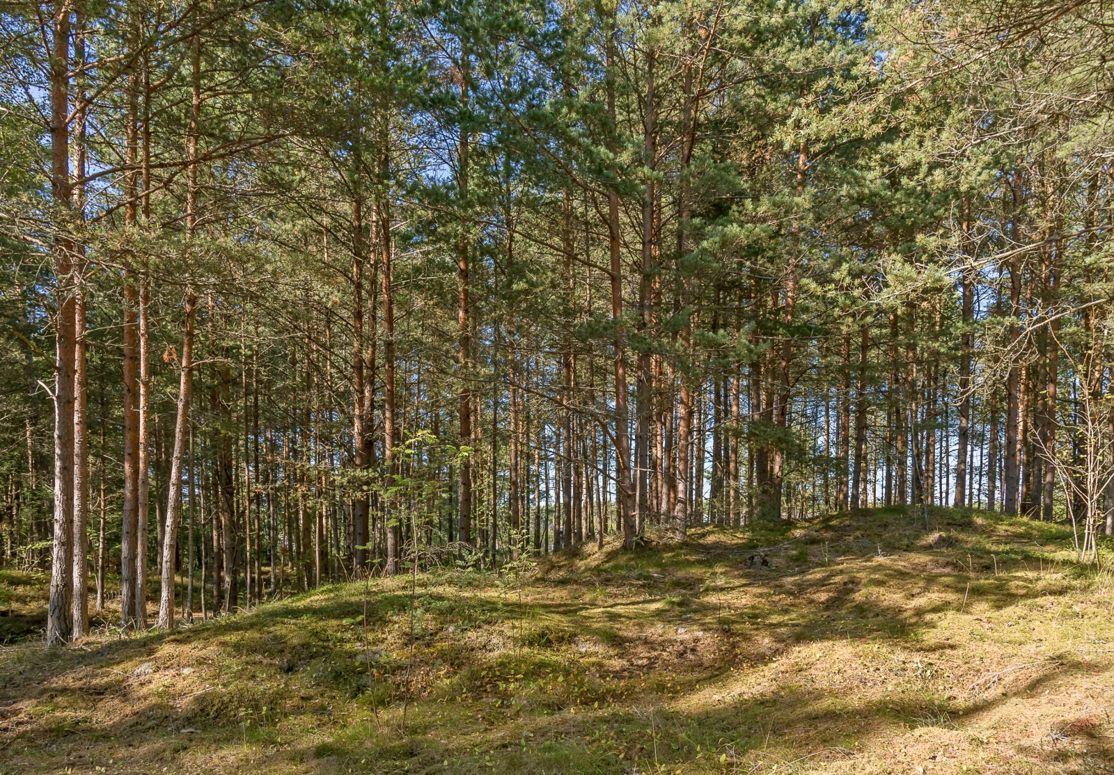  Fårö Skär 1389b