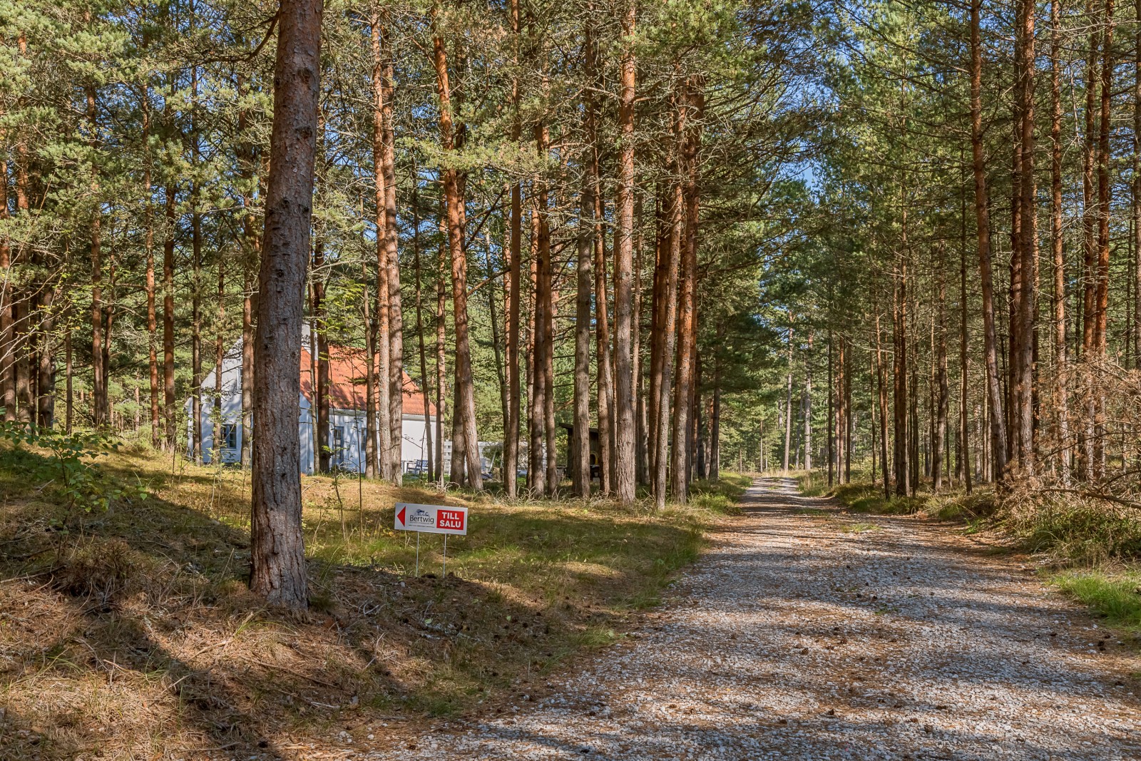  Fårö Skär 1389b