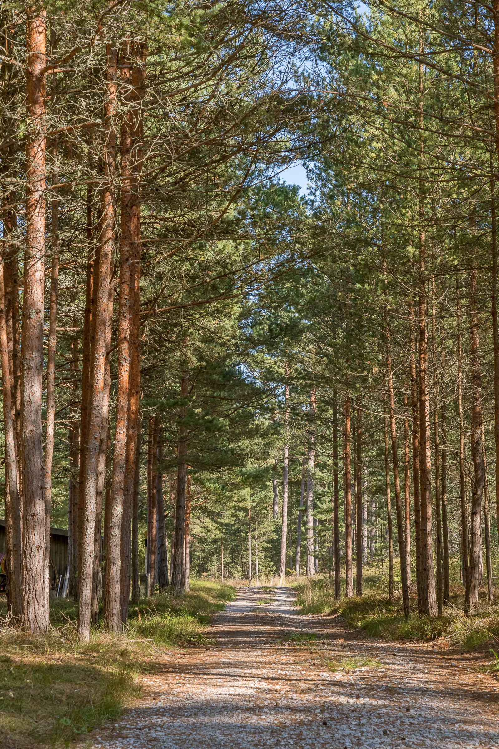  Fårö Skär 1389b