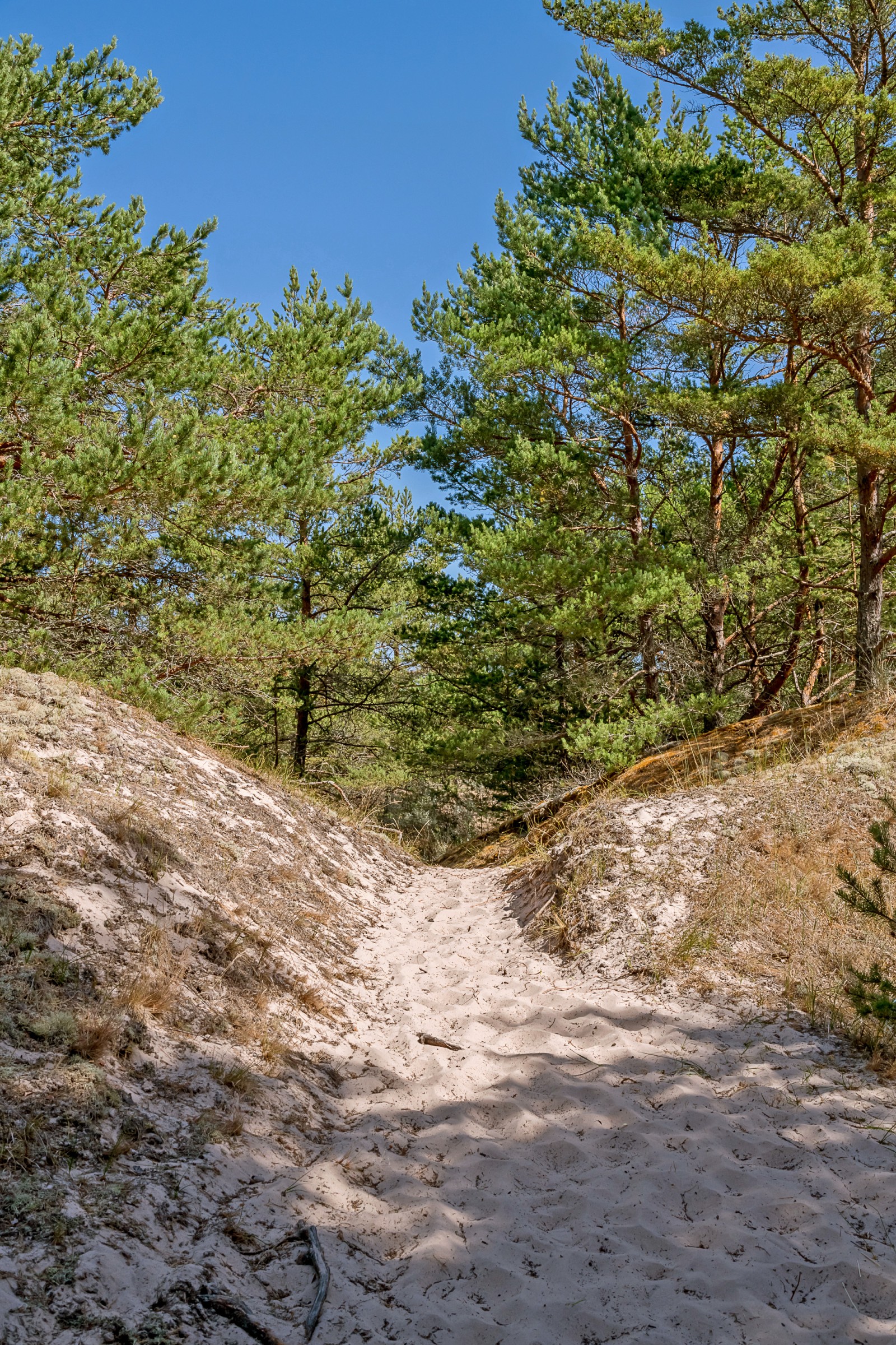  Fårö Skär 1389b