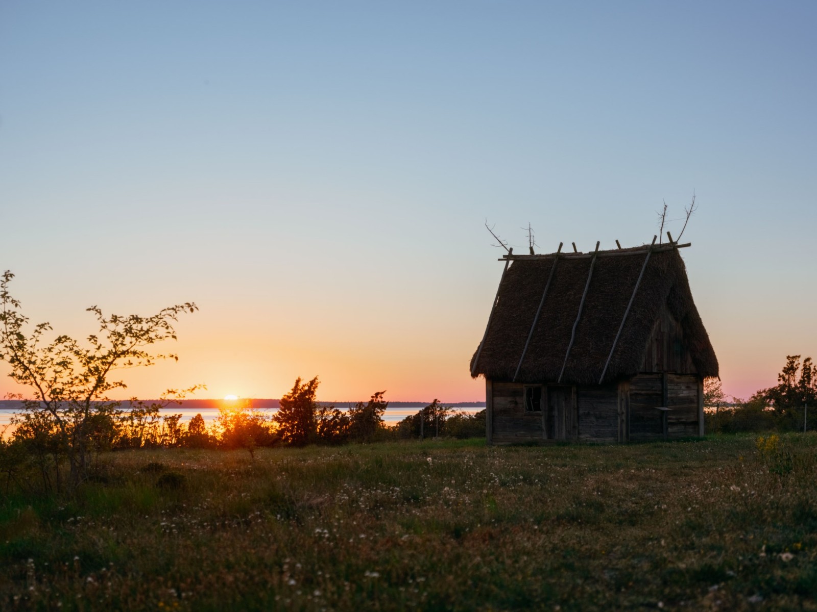  Fårö Ödehoburga 1017C