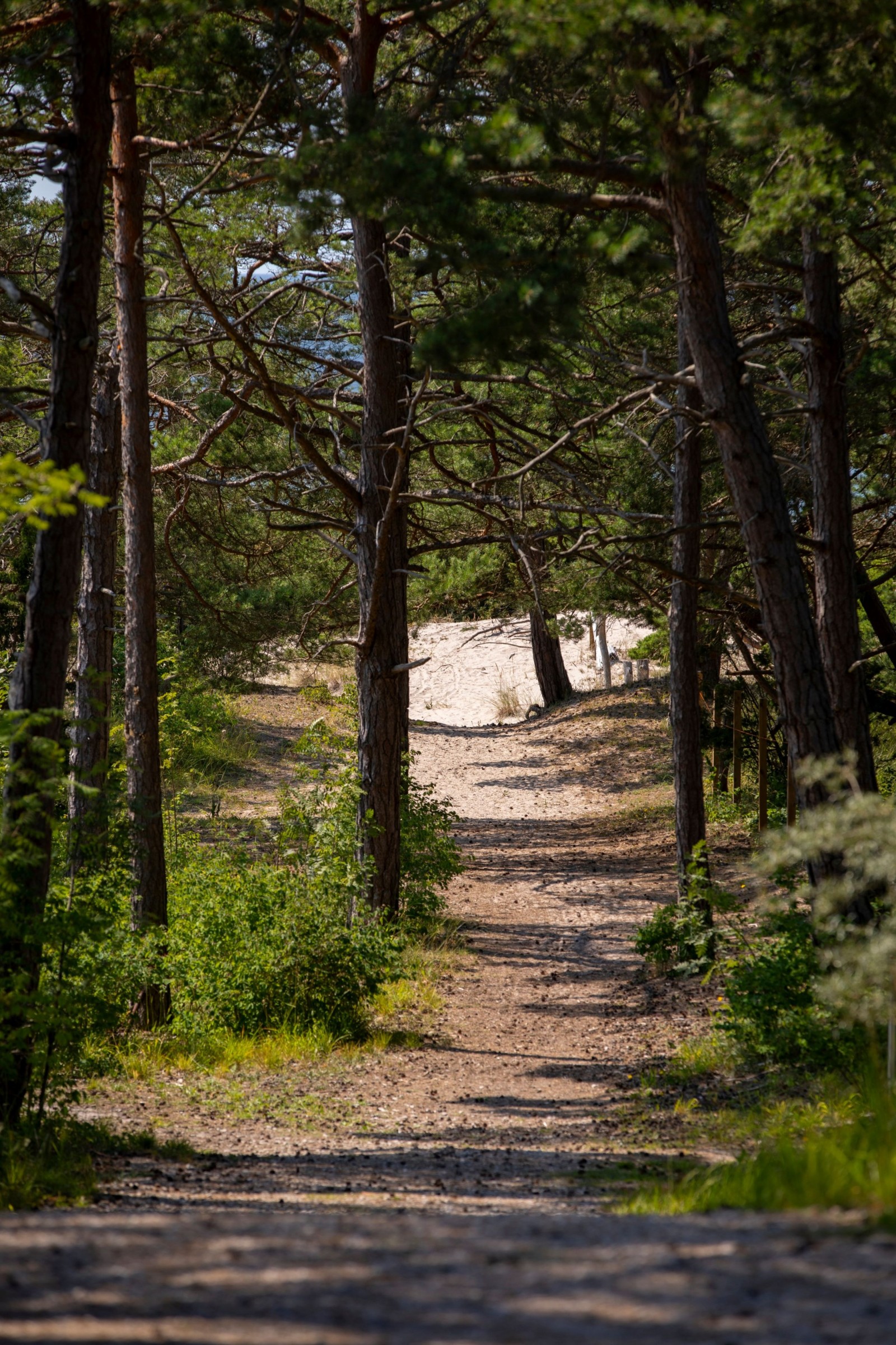  Sågskogsvägen 14