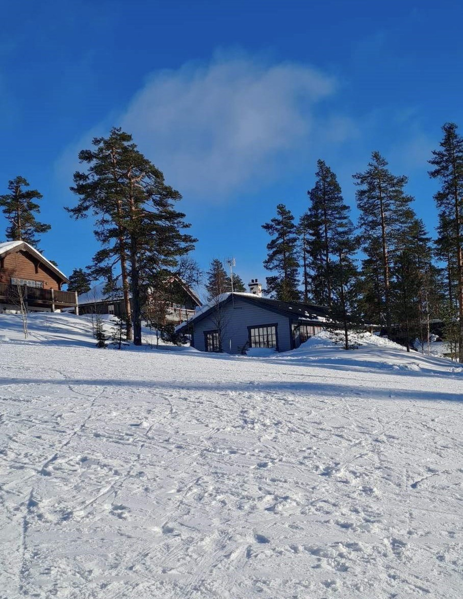 Säljarens egna bilder Släpvägen 12