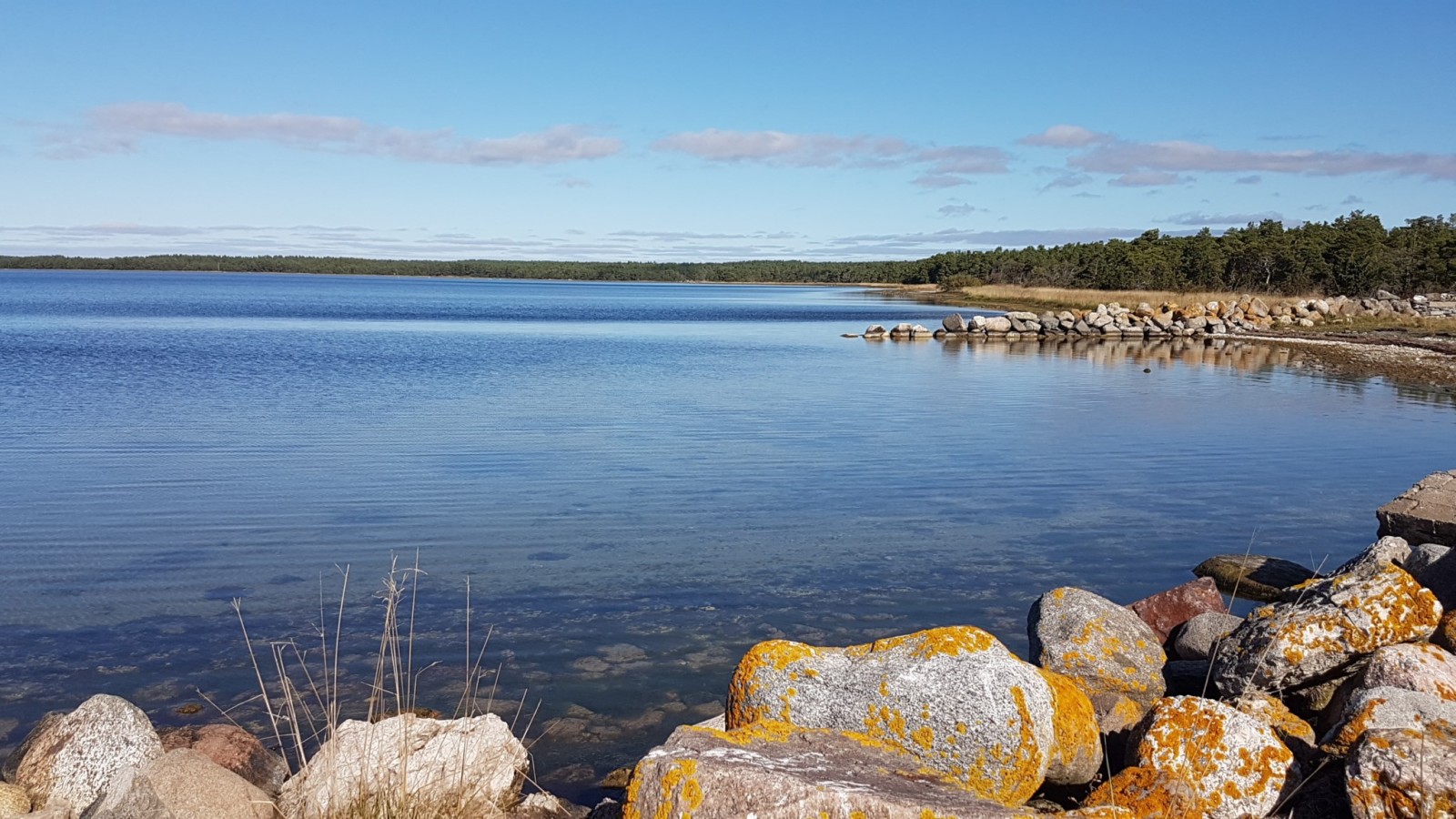  Fårö Ödehoburga 1017C