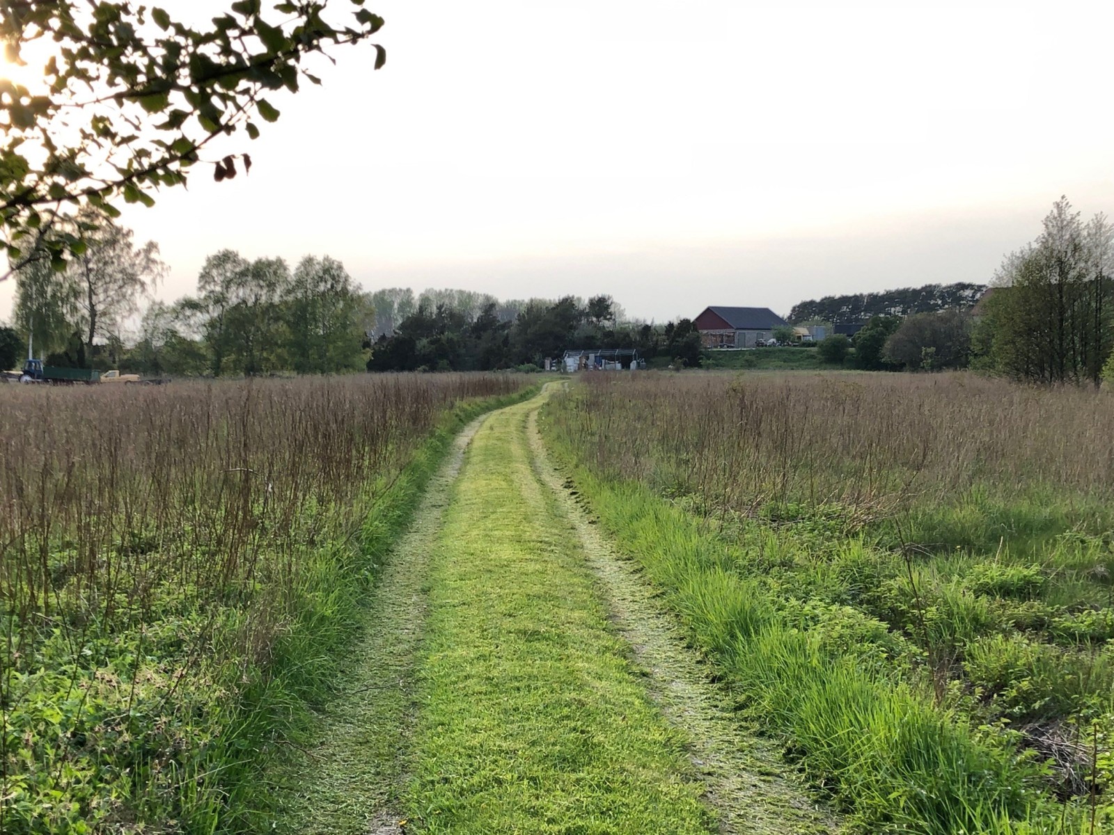  Fårö Sudersand 3894