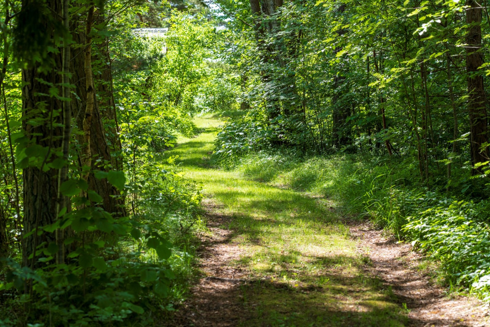  Fårö Sudersand 3894