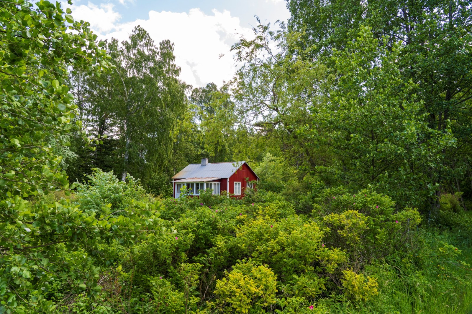  Fårö Sudersand 3894