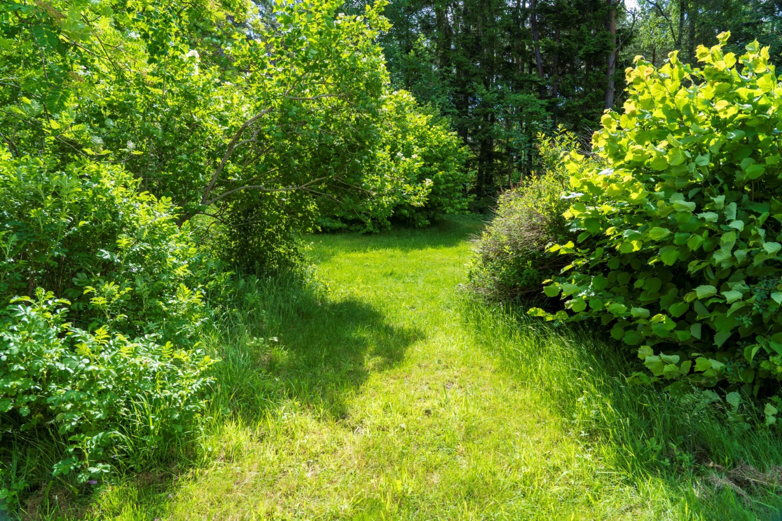  Fårö Sudersand 3894