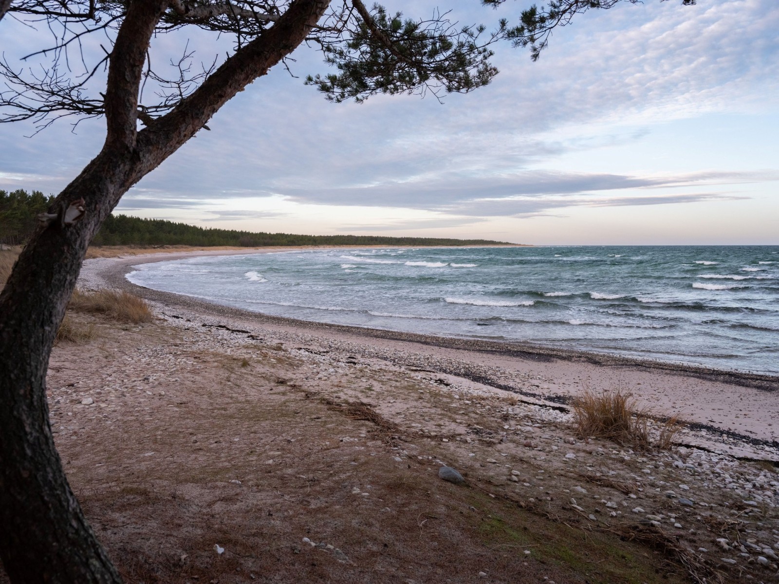 Stranden vid Norsta auren Fårö Simunds