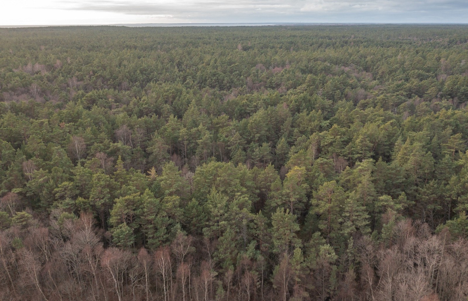  Fårö Simunds