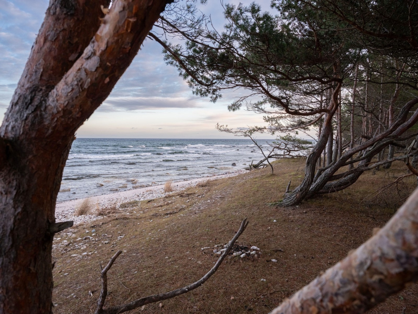  Fårö Simunds