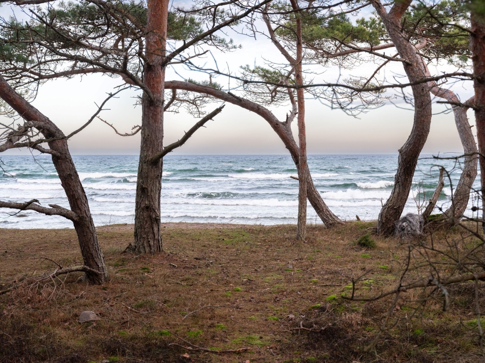  Fårö Simunds