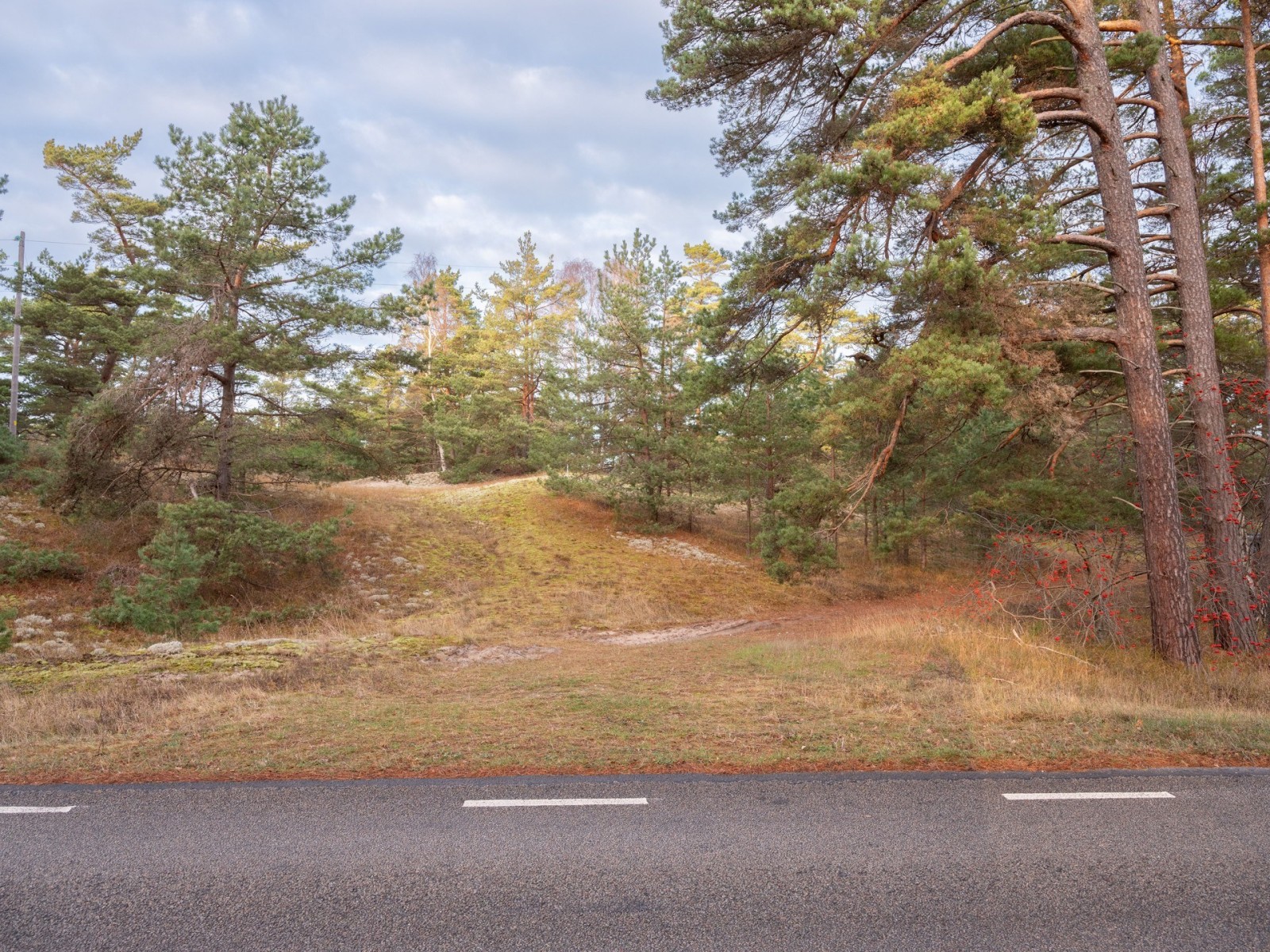  Fårö Simunds