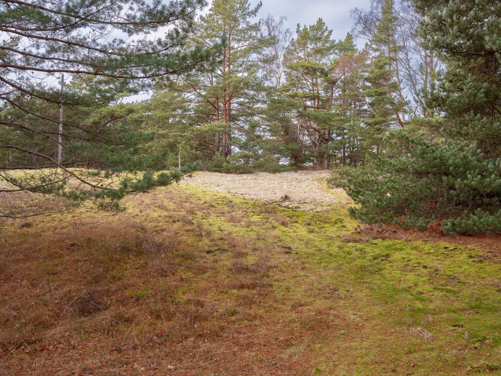  Fårö Simunds