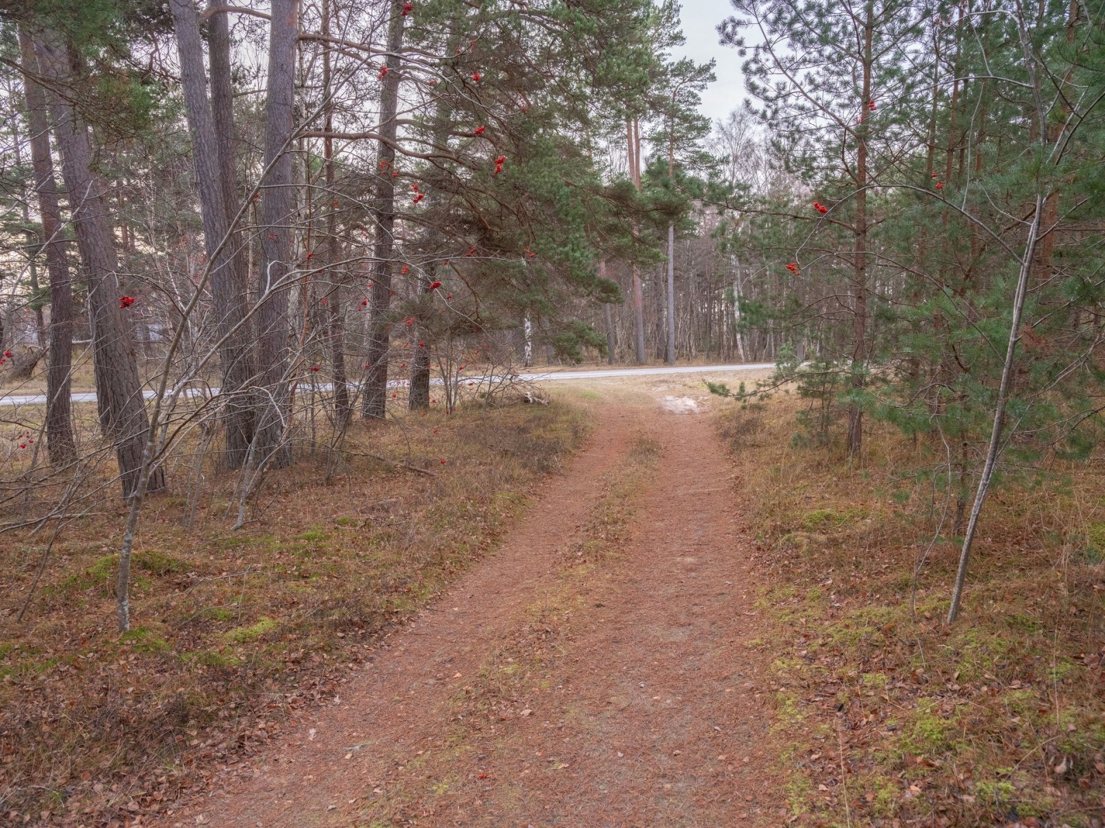  Fårö Simunds