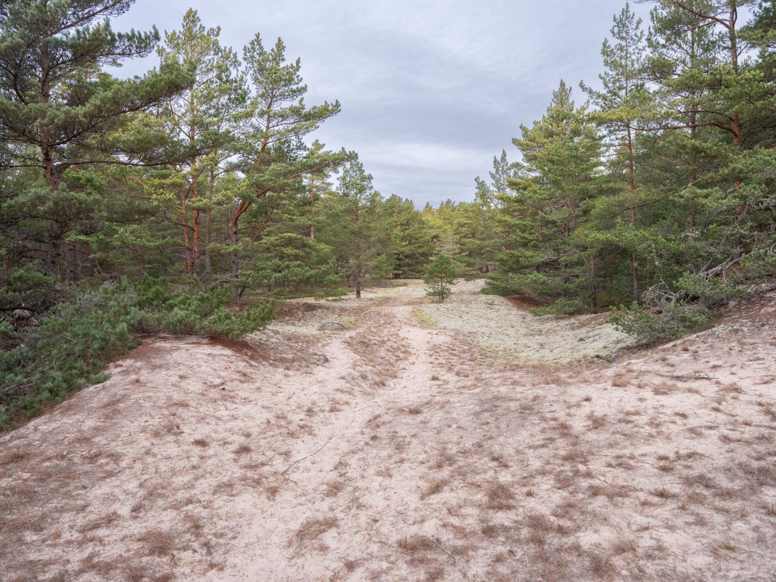  Fårö Simunds