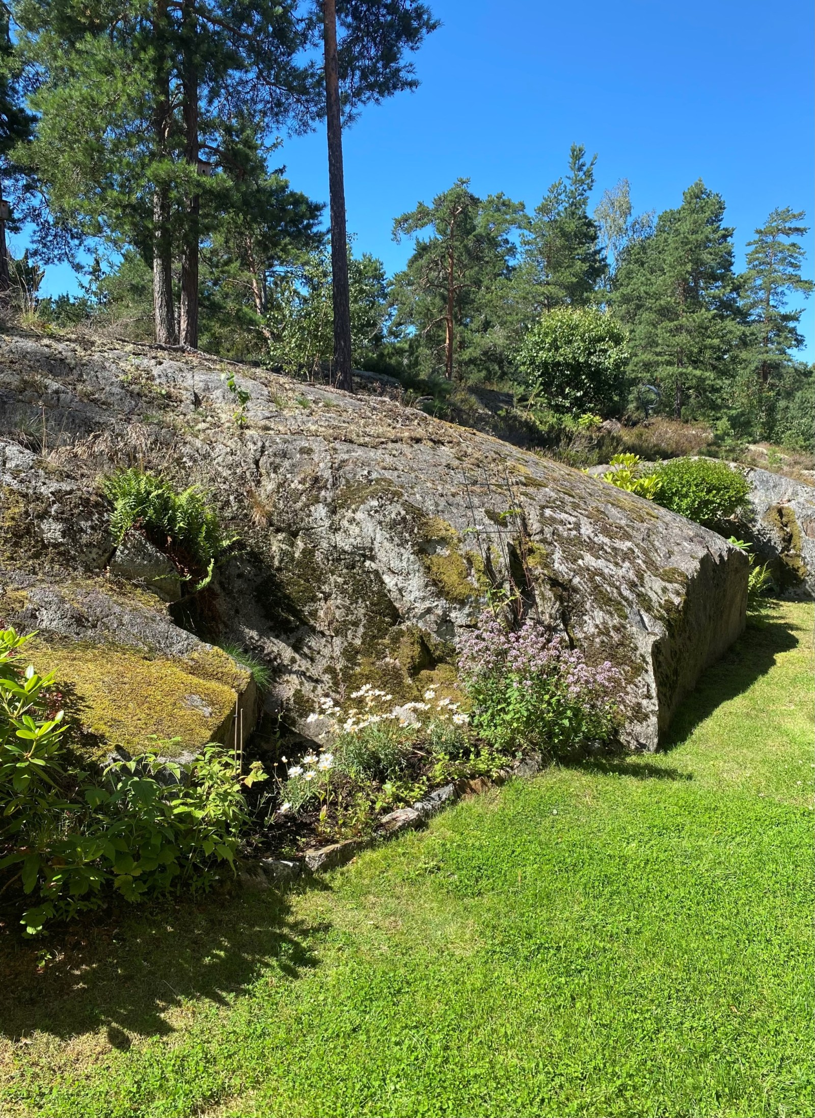 Säljarens bild Skogsrovägen 18