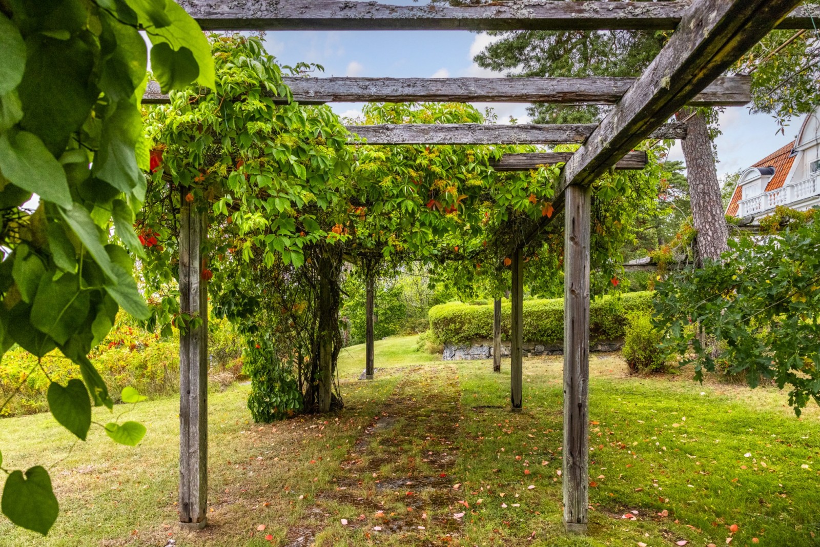 Pergola Barrtorpsvägen 9