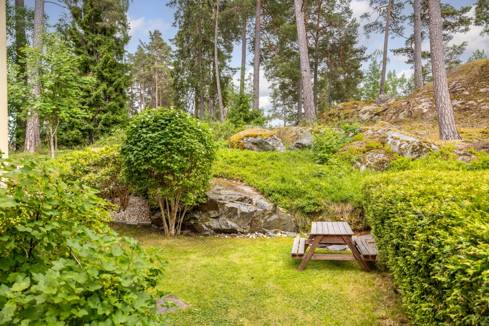 Trädgård på baksida Skogsrovägen 34