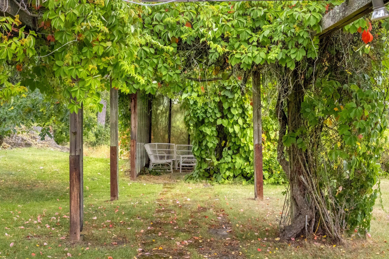 Pergola Barrtorpsvägen 9