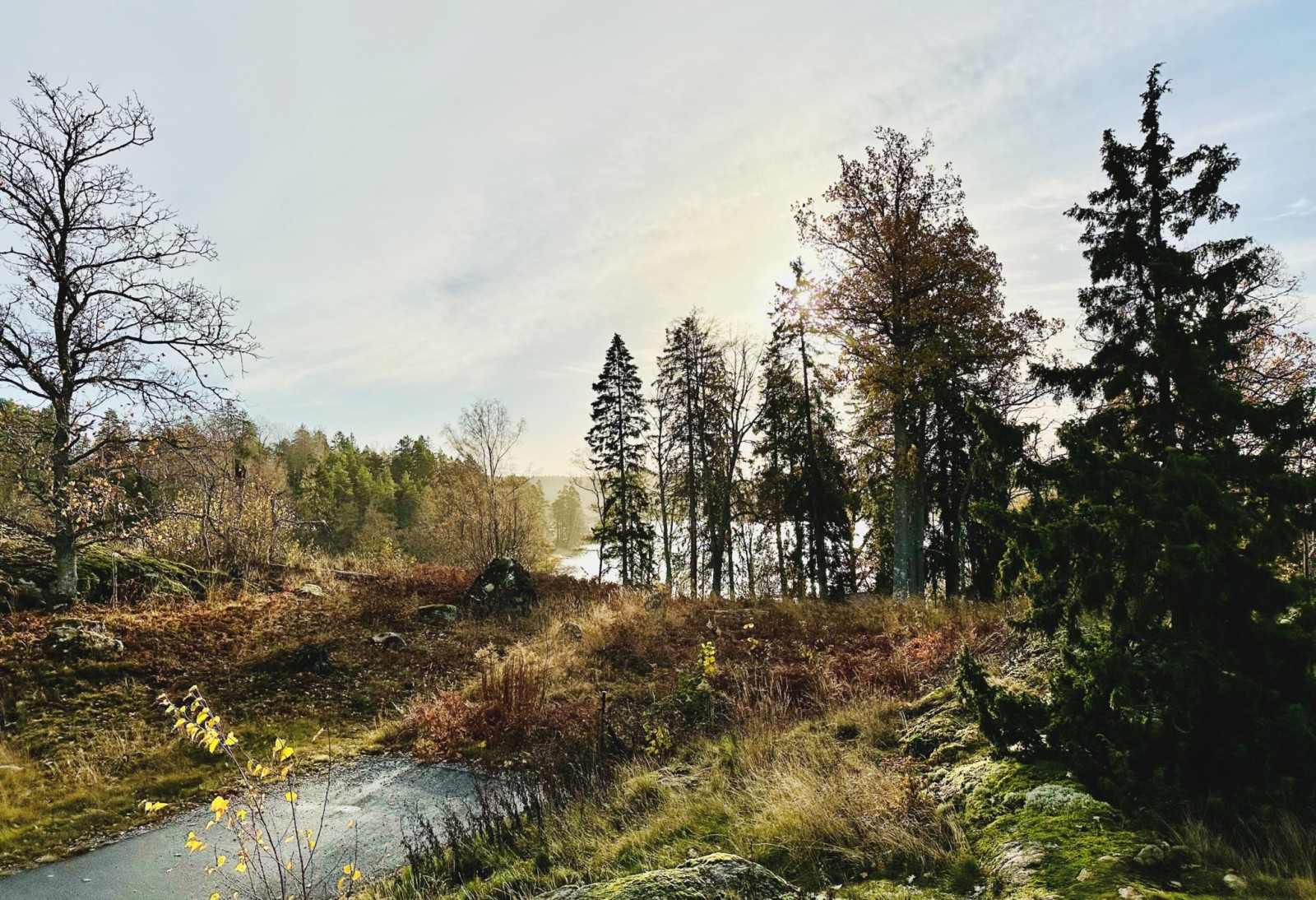 Utsikt andra sidan Karlskronaviksvägen/Poppeholmsstigen