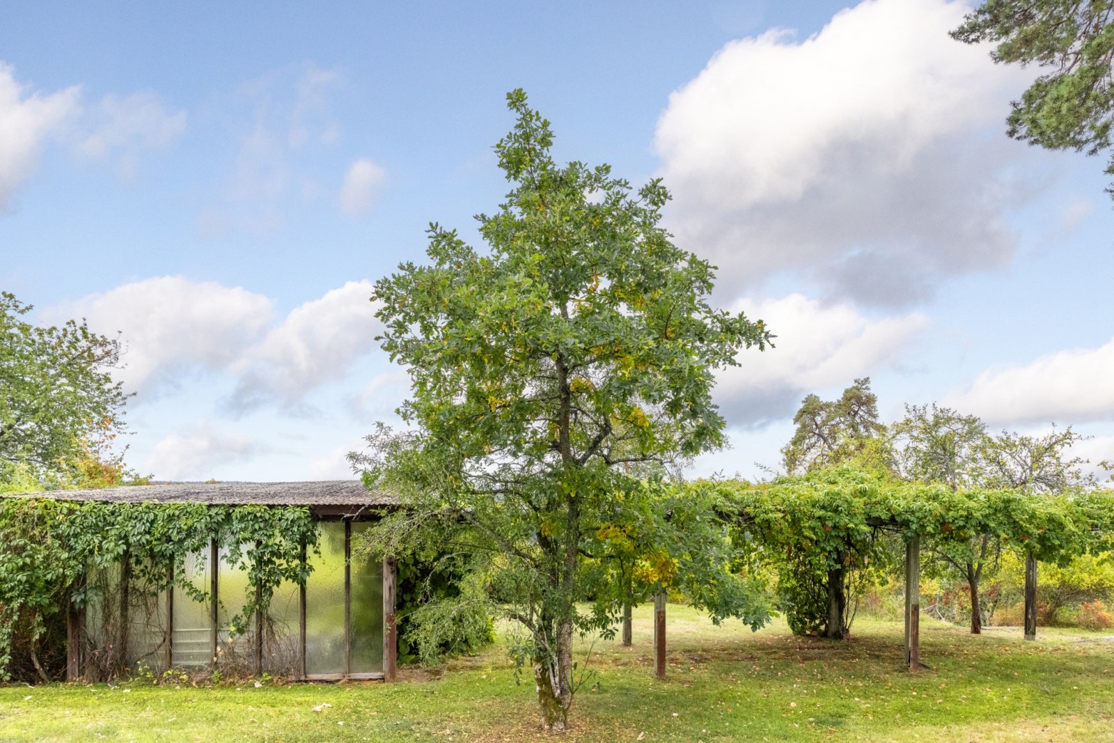 Trädgård / Pergola Barrtorpsvägen 9