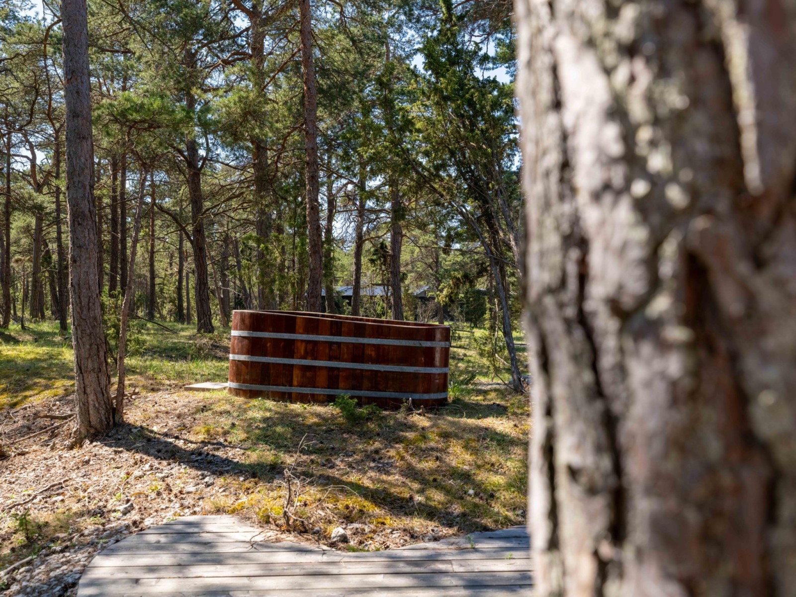  Fårö Ödehoburga 1017C