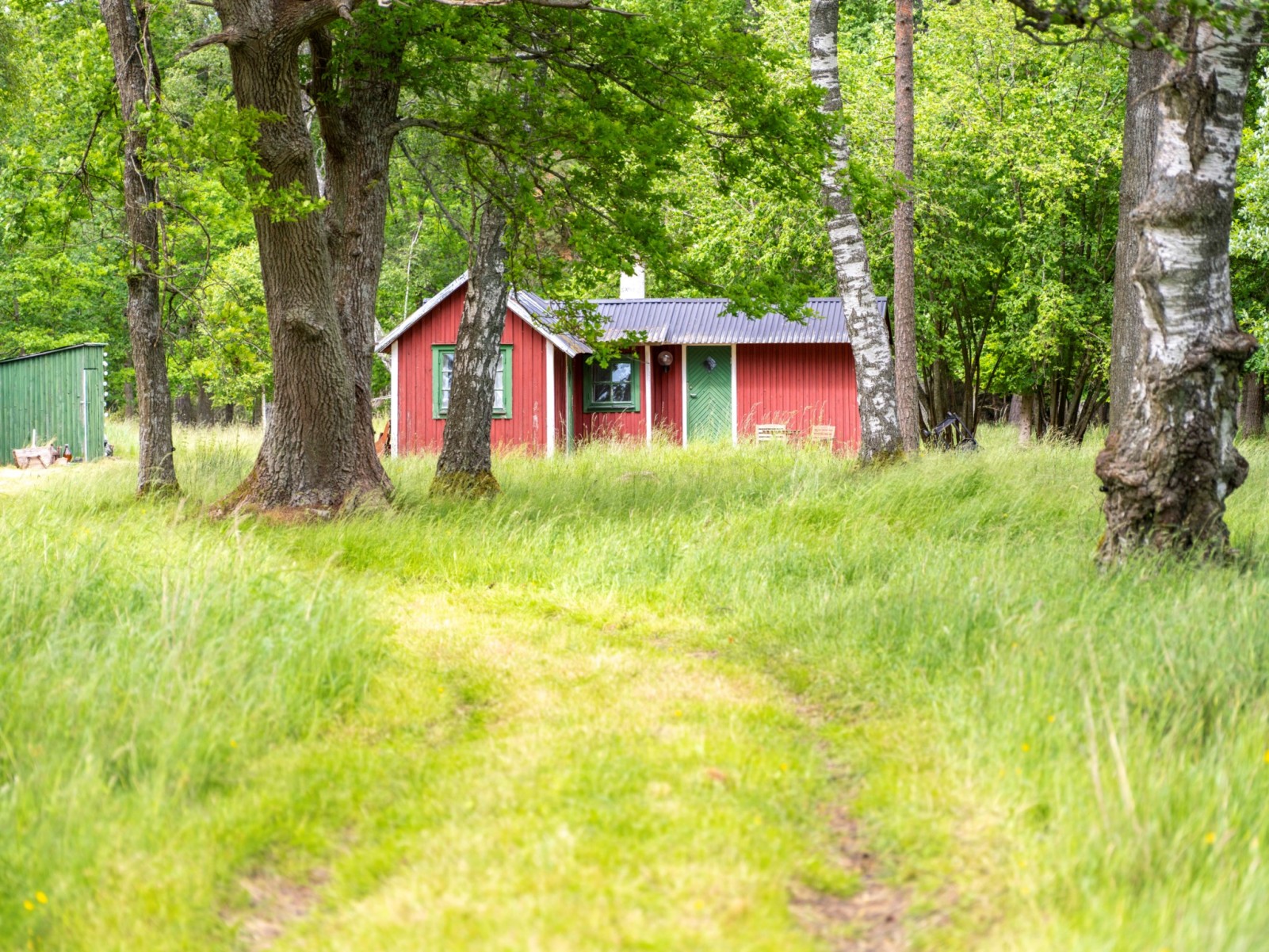  Alskog Svajde 989