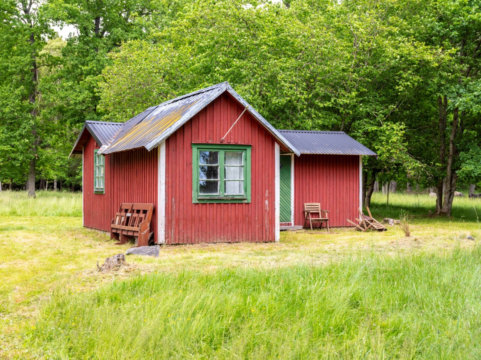  Alskog Svajde 989