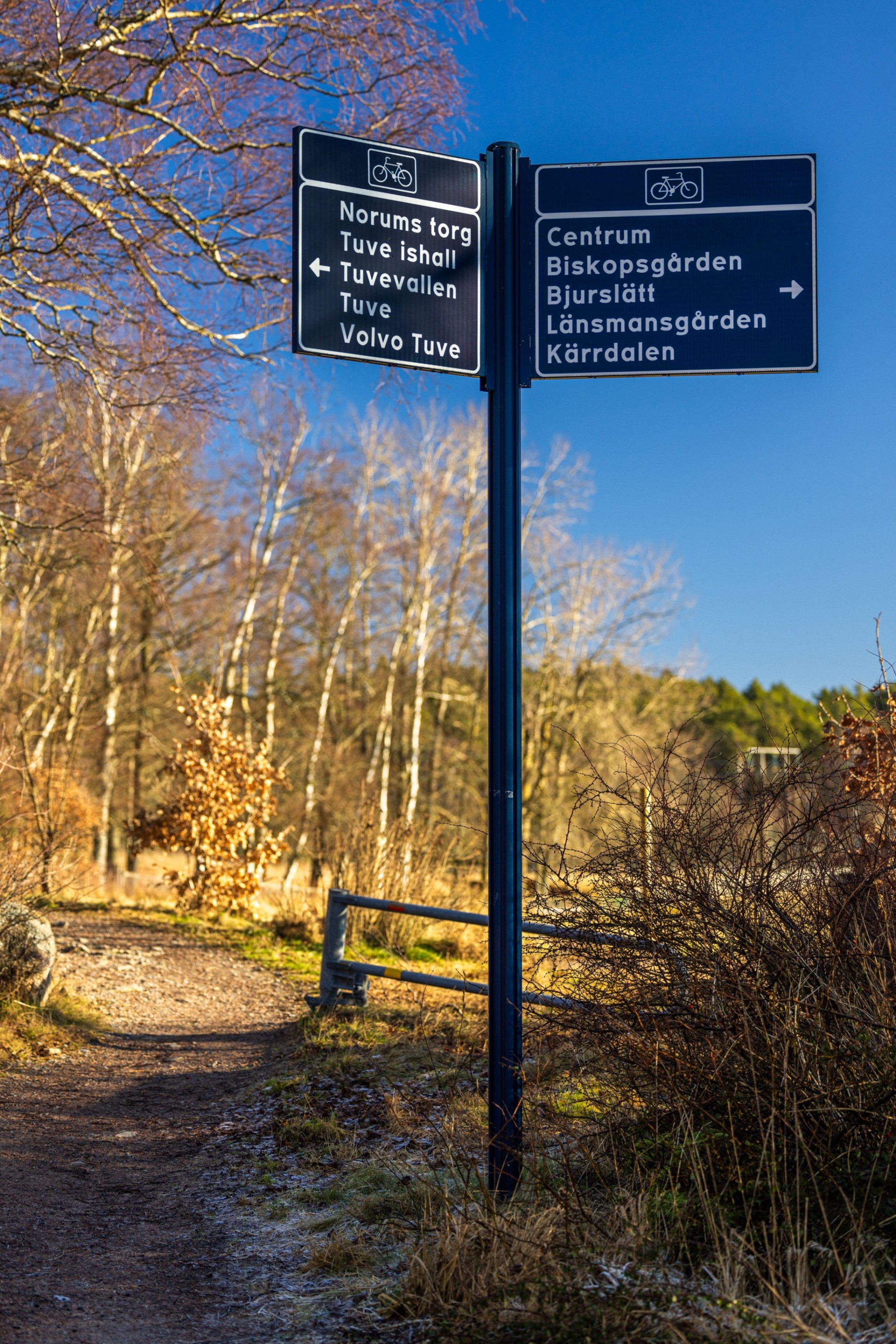  Hisingsparkens kolonistugeförening Stuga 4 (Västerhagen 61)-10