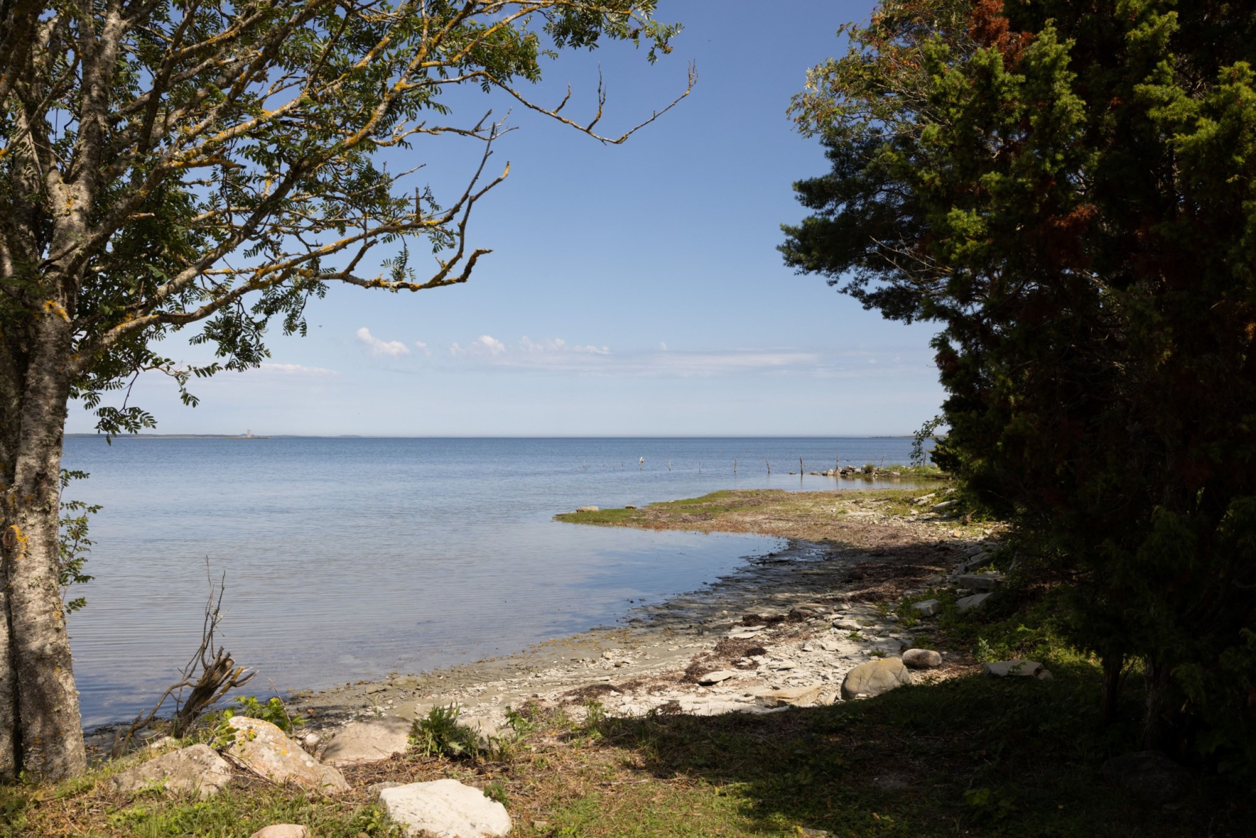 Strandmiljö, Grötlingboudd Grötlingbo Sigsarve 505