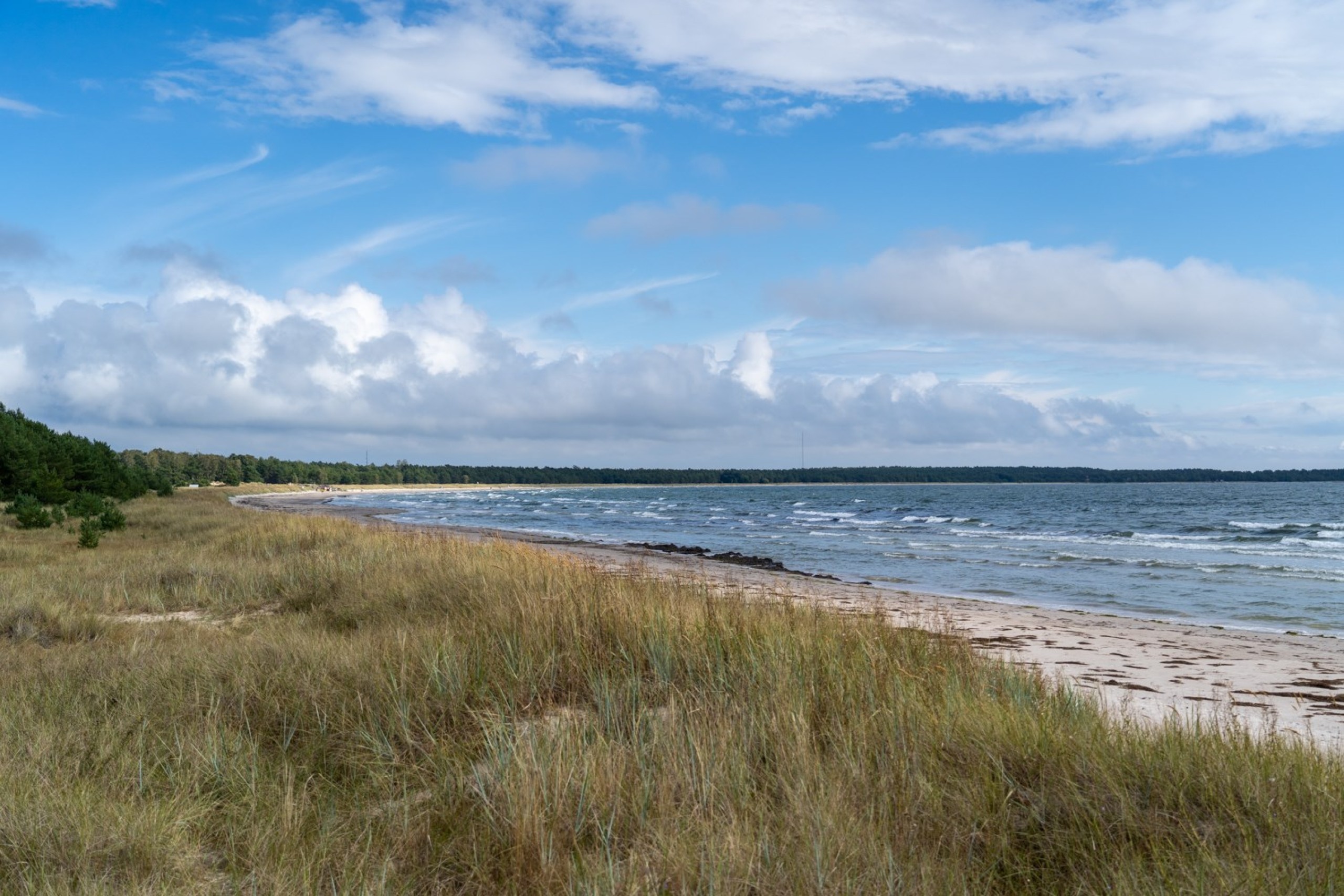  Fårö Simunds 4615