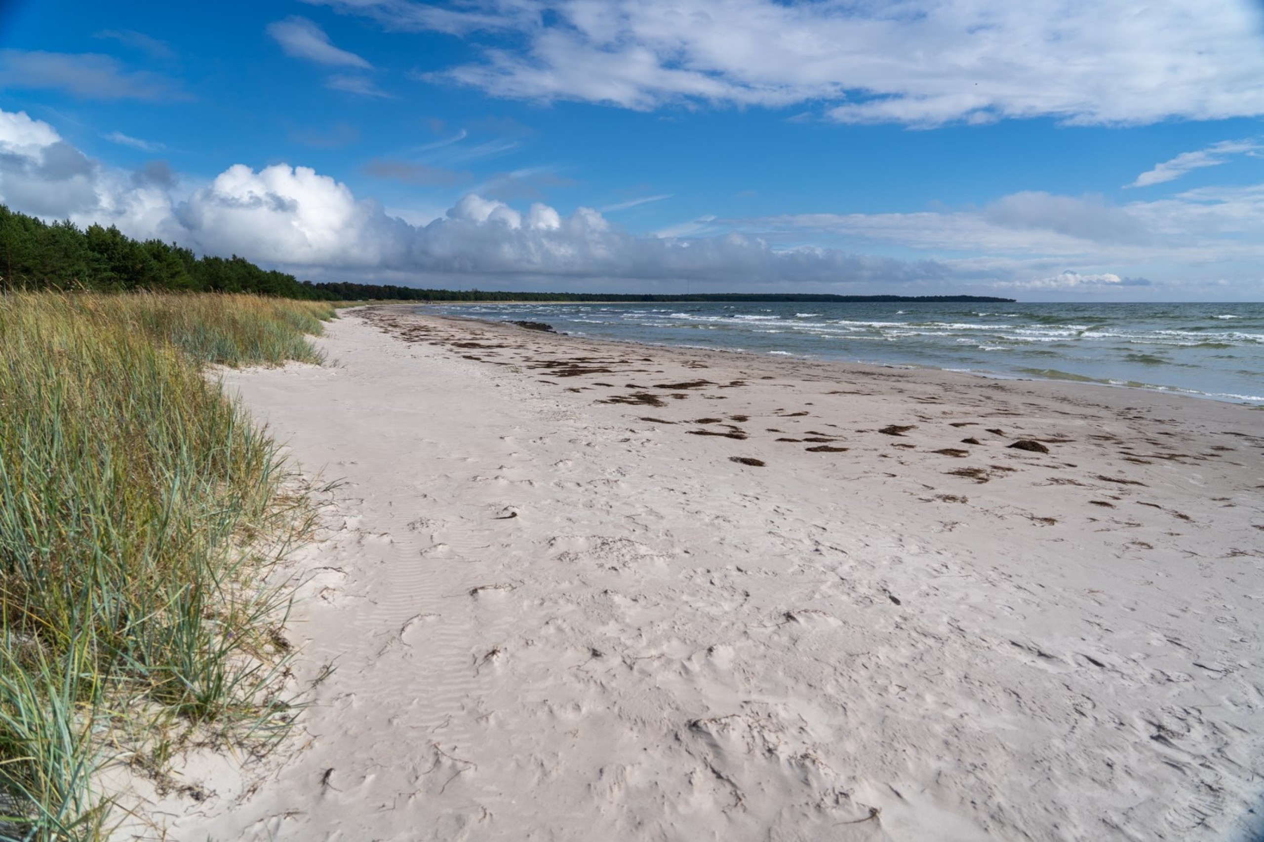  Fårö Simunds 4615