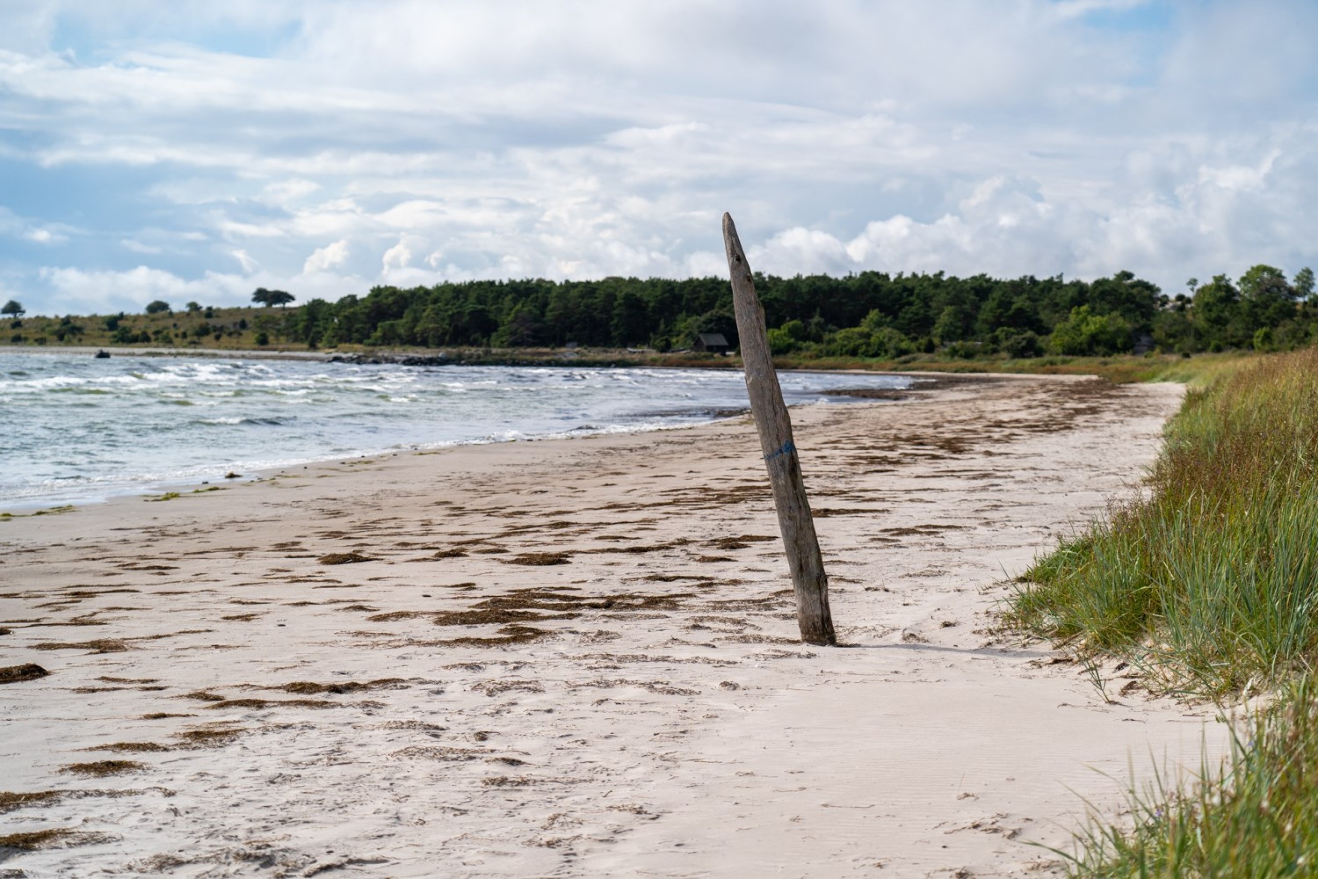  Fårö Simunds 4615