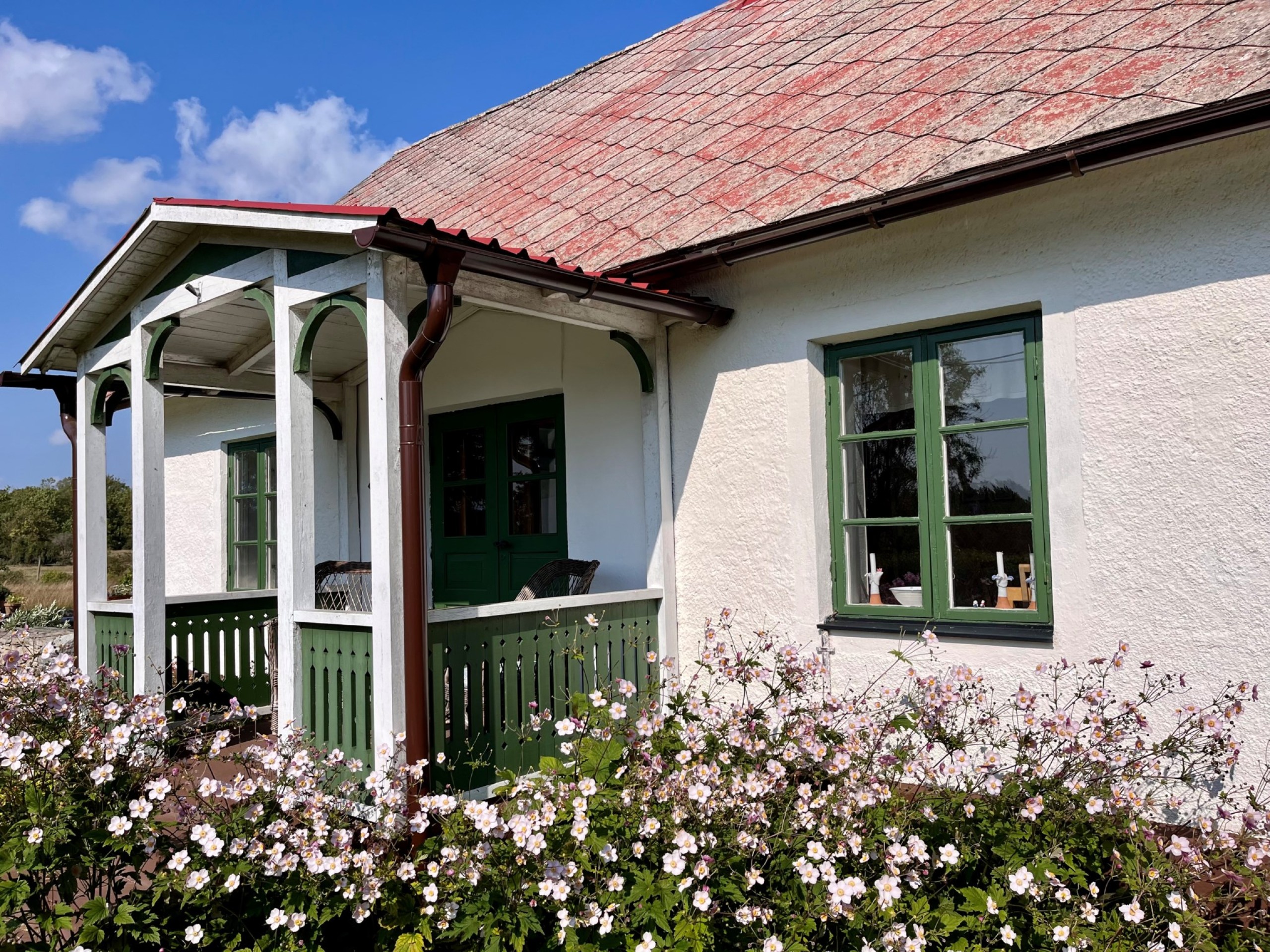 Framsidan inbäddad i ett hav av blomster Grötlingbo Sigsarve 505