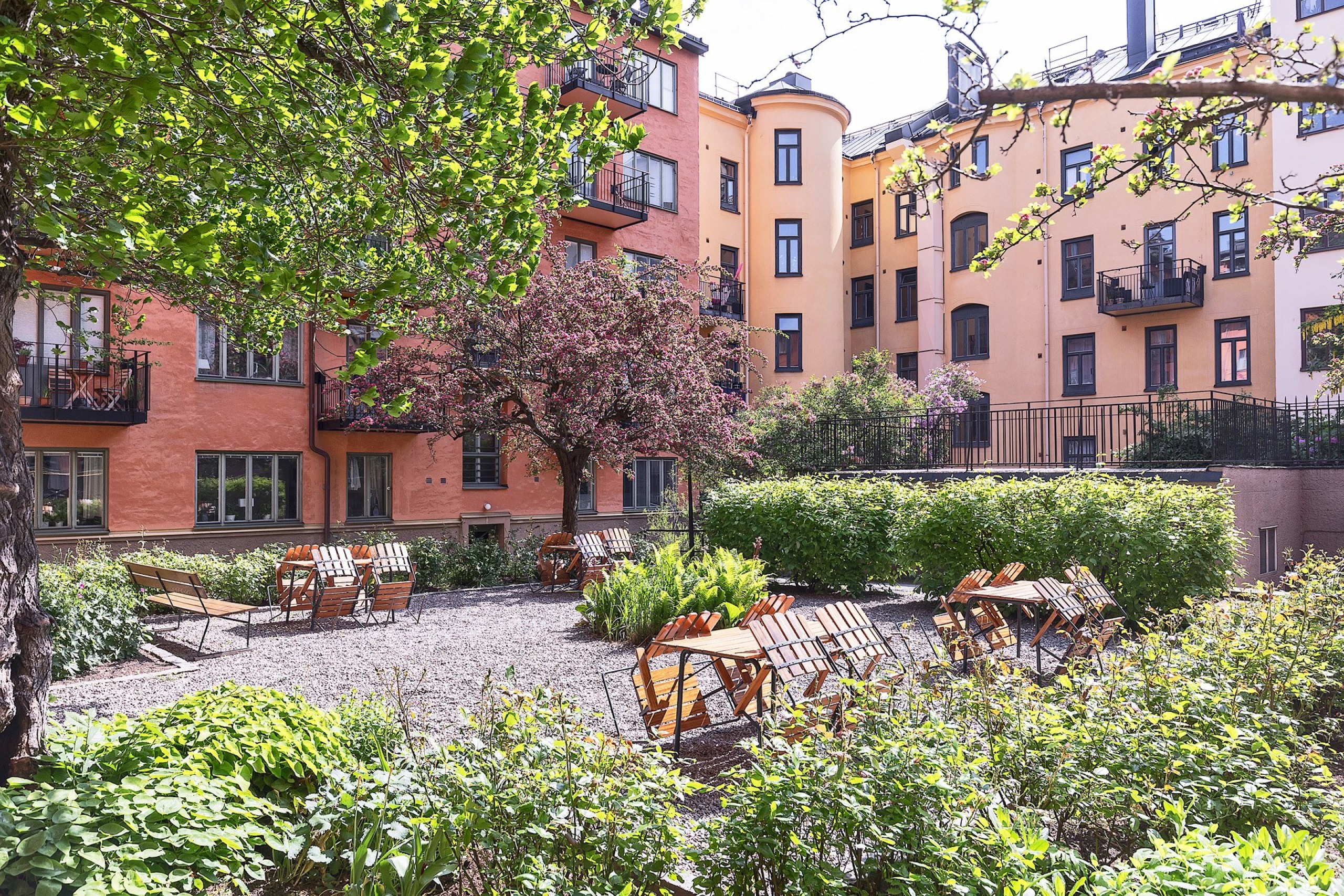 Blomstrande innergård Roslagsgatan 51