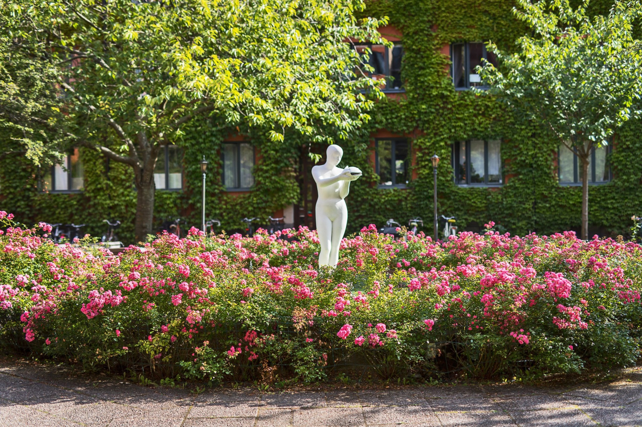 Lummig och blomstrande innergård Alströmergatan 32K, 3 tr